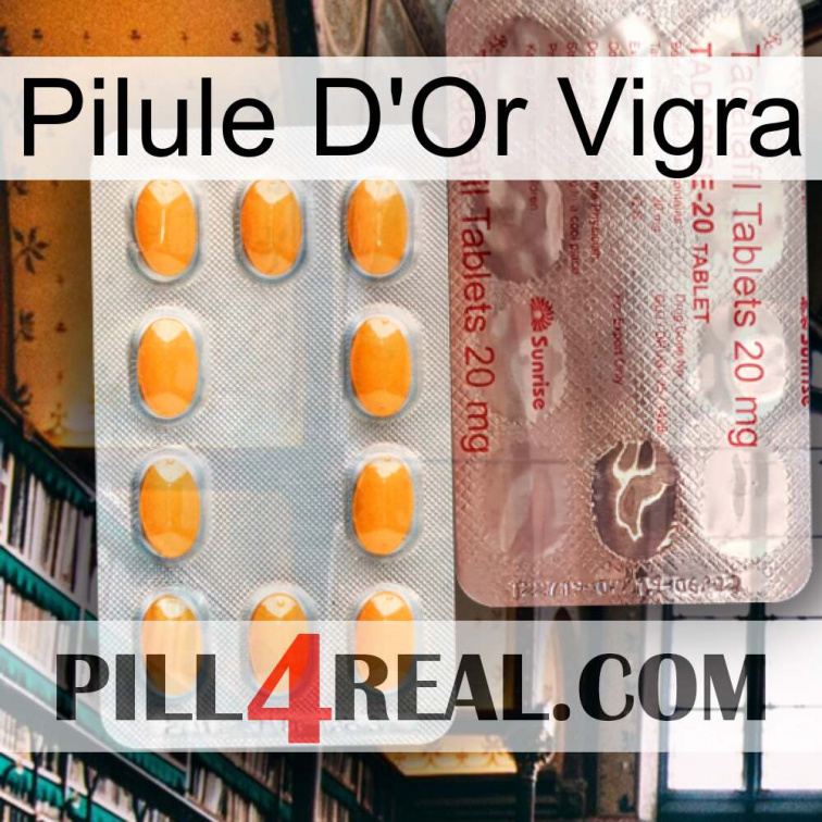 Vigra Gold Pill new13